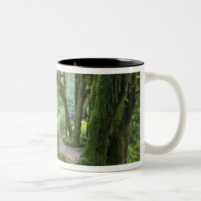 Tasse 2 Couleurs Les Etats-Unis, Washington, parc national (Droit)