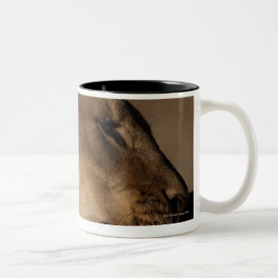 Tasse 2 Couleurs Les lions (Panthera Lion) appareillent la liaison,