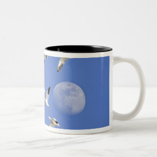 Tasse 2 Couleurs Les oies des neiges prennent leur envol à Freezeou