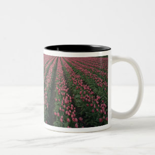 Tasse 2 Couleurs Les tulipes roses et rouges brillent sous l'obscur