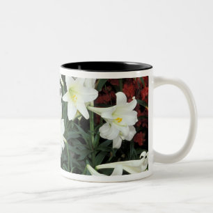 Tasse 2 Couleurs Lily de Pâques (Lilium regale)
