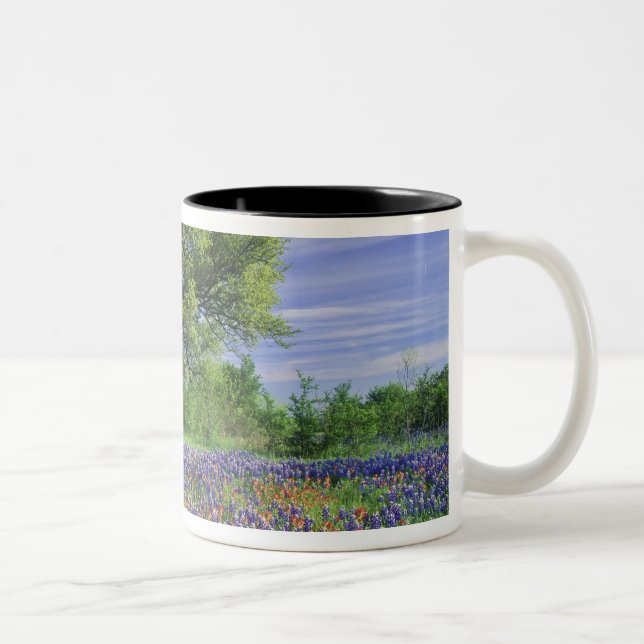 Tasse 2 Couleurs Live Oak & Texas Paintbrush et Texas (Droit)