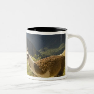 Tasse 2 Couleurs Llamas et vue sur Machu Picchu,