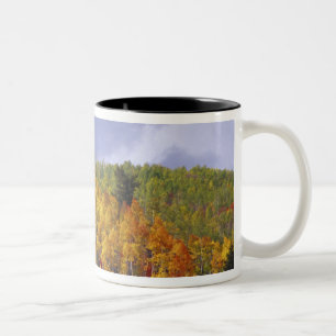 Tasse 2 Couleurs Logan Canyon dans l'Utah en automne avec le passag
