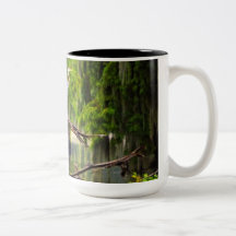Louisiane Bayou