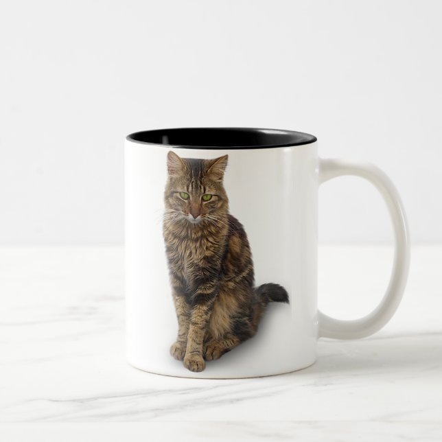 Tasse 2 Couleurs Maine Coon (Droit)