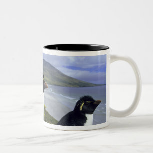 Tasse 2 Couleurs Manchots de Bourke, (Eudyptes chrysocome),