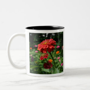 Tasse 2 Couleurs marguerite rouge orangé fleuri, jardin de fleurs r
