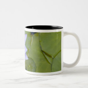 Tasse 2 Couleurs Martinique, Antilles, Antilles, Antilles, Bleu