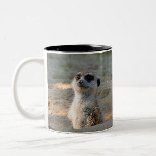 Tasse 2 Couleurs Meerkat 004