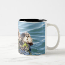Mère et chiot de loutre de mer avec le varech