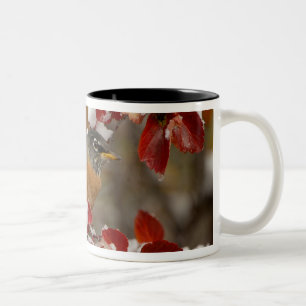 Tasse 2 Couleurs Merle américain mâle dans l'aubépine noire