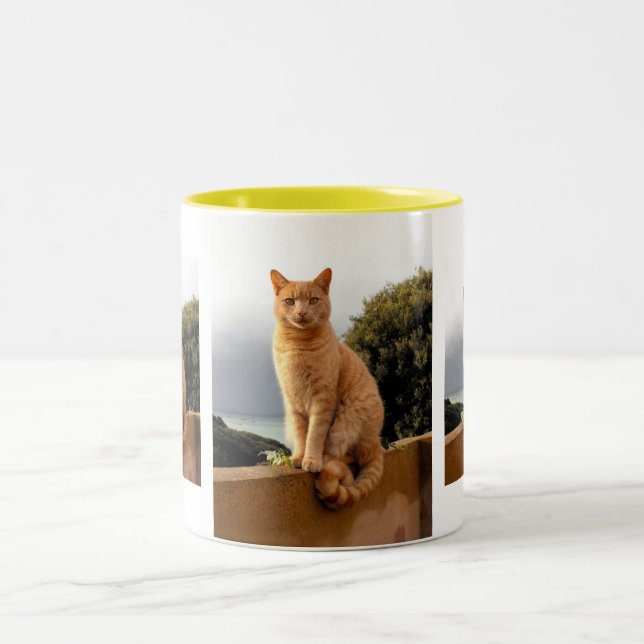 Tasse 2 Couleurs Merlin sur le mur du jardin (Centre)