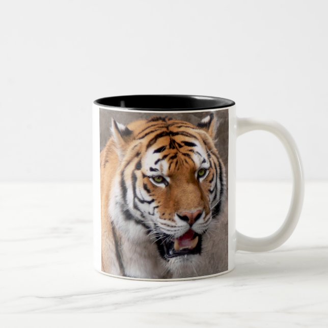 Tasse 2 Couleurs merveille aux yeux verts (Droit)