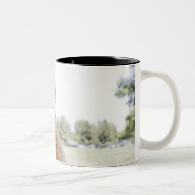 Tasse 2 Couleurs Mini griffonnage d'or (Droit)