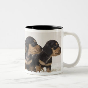 Tasse 2 Couleurs Mini teckel quatre