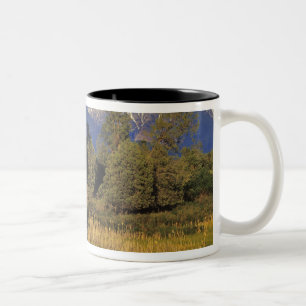 Tasse 2 Couleurs Mission Creek traverse le National Bison