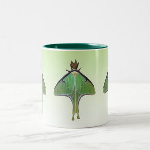 Tasse 2 Couleurs Mite de Luna