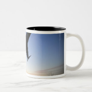 Tasse 2 Couleurs Modèle d'échelle d'un Faucon F-16 C