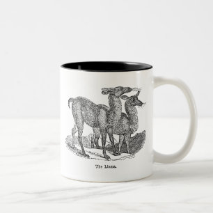 Tasse 2 Couleurs Modèle vintage de lamas d'illustration de lama de