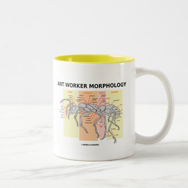 Tasse 2 Couleurs Morphologie de travailleur de fourmi (Droit)