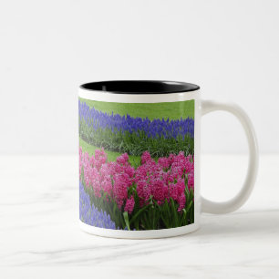 Tasse 2 Couleurs Motif de l'Hyacinthe du raisin, des tulipes et