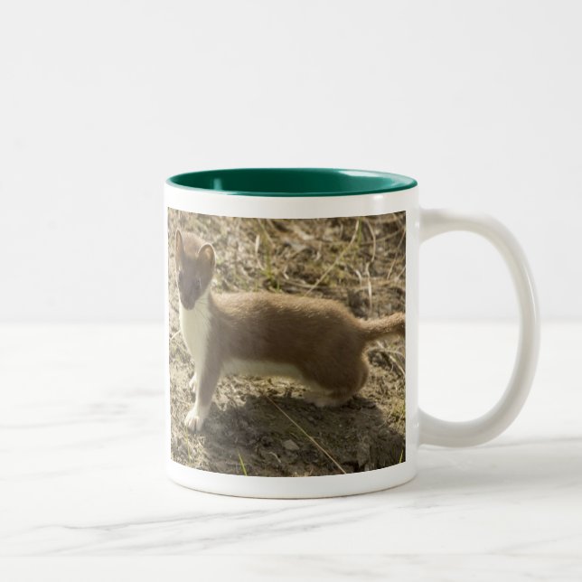 Tasse 2 Couleurs mouche (Droit)
