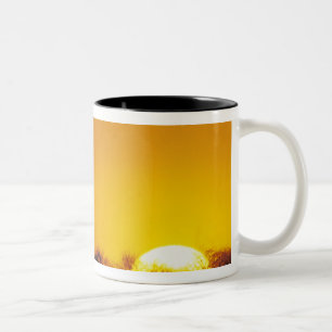 Tasse 2 Couleurs Moulin à vent au coucher du soleil, Sinton, Texas