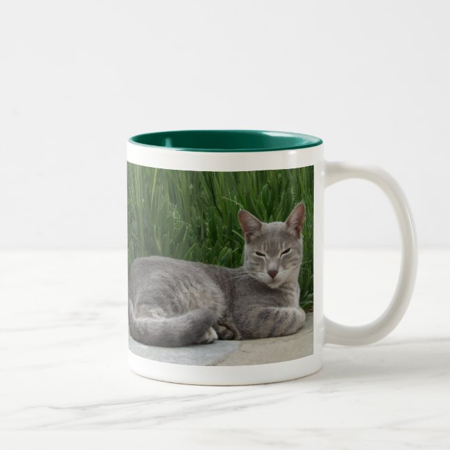 Tasse 2 Couleurs Musique de chat (Droit)