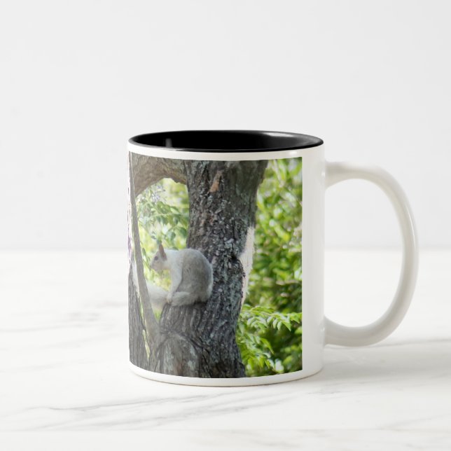 Tasse 2 Couleurs Musique d'écureuil albinos (Droit)