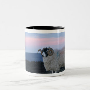 Tasse 2 Couleurs Musique des moutons