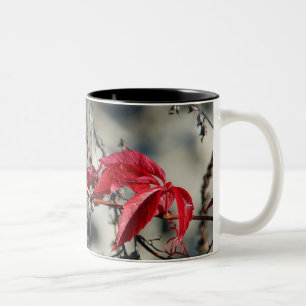 Tasse 2 Couleurs Musique feuille rouge