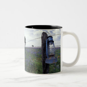 Tasse 2 Couleurs N.A., États-Unis, Texas, Llano, Lanterne bleue, Ch