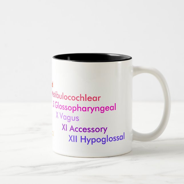 Tasse 2 Couleurs Nerfs crâniens (Droit)