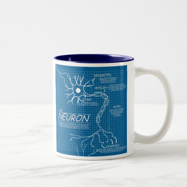 Tasse 2 Couleurs neurone de modèle (Droit)
