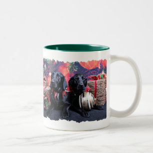 Tasse 2 Couleurs Noël - Labrador - banjo et boomer