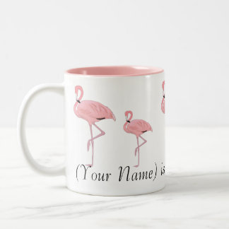 Tasse 2 Couleurs Nom personnalisé du groupe de Flamants roses roses