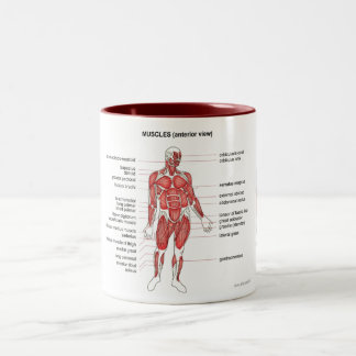 Tasse 2 Couleurs Notes et café de muscles (vue antérieure)