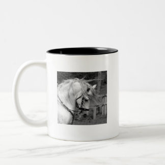 Tasse 2 Couleurs Ode au cheval