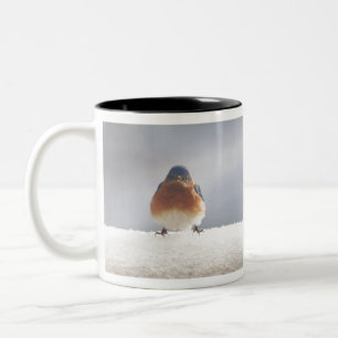 Tasse 2 Couleurs Oiseau bleu oriental gras