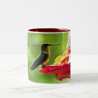 Tasse 2 Couleurs Oiseau de mer à gorge rubis 11 oz Photographie d'o