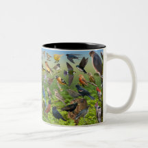 Oiseaux Jardins de l'Ouest