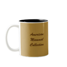 Ombre de cerfs communs de Blanc-Queue