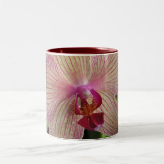 Tasse 2 Couleurs Orchidée