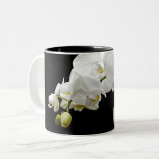 Tasse 2 Couleurs Orchidée blanche en fleurs