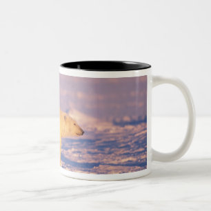 Tasse 2 Couleurs Ours polaire femelle avec des oursons de printemps