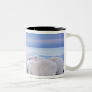 Tasse 2 Couleurs Ours polaire semé avec des petits