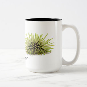 Tasse 2 Couleurs oursin de Roche-sondage, mathaei d'Echinometra