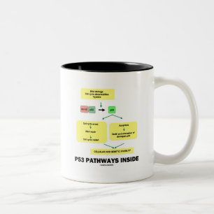 Tasse 2 Couleurs P53 Voies internes (biologie moléculaire cellulair