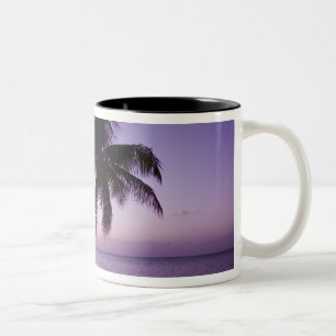 Tasse 2 Couleurs Palmier solitaire au coucher du soleil, plage de C